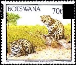 Stamp, Black-footed Cat (Felis nigripes), Botswana,  , Animals (Fauna)