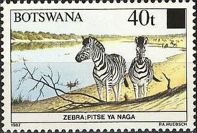 Stamp, Burchell's Zebra (Equus burchelli), Botswana,  , Rivers, Zebras