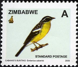 Stamp, Cabanis's Bunting (Emberiza cabanisi), Zimbabwe,  