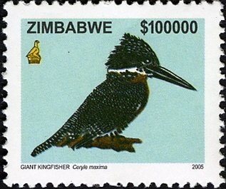Giant Kingfisher (Megaceryle maxima)