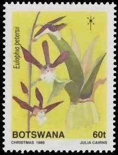 Eulophia petersii