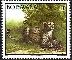 Stamp, Cheetah (Acinonyx jubatus), Botswana,  , Mammals, Cheetahs, Animals (Fauna)