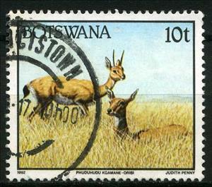 Stamp, Oribi (Ourebia ourebi), Botswana,  , Animals (Fauna)