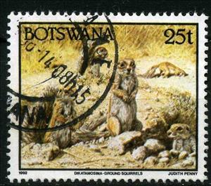 Stamp, Cape Ground Squirrel (Xerus inauris), Botswana,  , Animals (Fauna)
