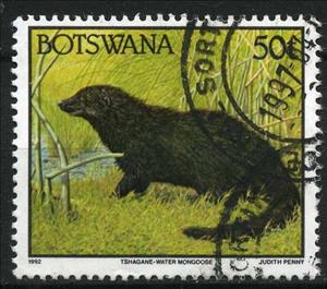 Stamp, Marsh Mongoose (Atilax paludinosus), Botswana,  , Animals (Fauna)