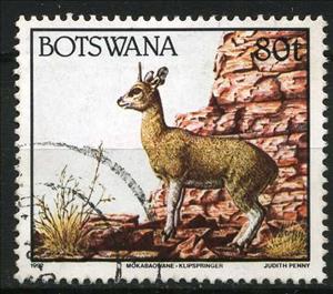 Stamp, Klipspringer (Oreotragus oreotragus), Botswana,  , Animals (Fauna)