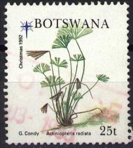 Stamp, Actiniopteris radiata, Botswana,  