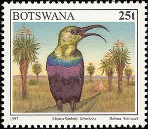 Stamp, Marico Sunbird (Nectarinia mariquensis), Botswana,  , Birds, Animals (Fauna)