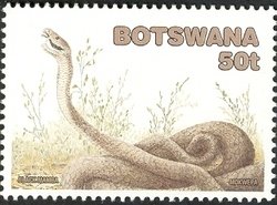 Stamp, Black Mamba (Dendroaspis polylepis) , Botswana,  , Snakes