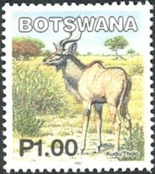 Stamp, Greater Kudu (Tragelaphus strepsicerus), Botswana,  , Animals (Fauna)