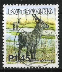 Stamp, Ellipsen Waterbuck (Kobus ellipsiprymnus), Botswana,  , Animals (Fauna)