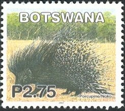 Stamp, Cape Porcupine (Hystrix africaeaustralis), Botswana,  