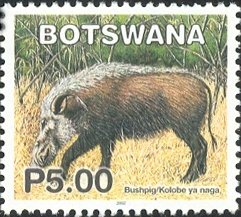 Stamp, Red River Hog (Potamochoerus porcus) , Botswana,  