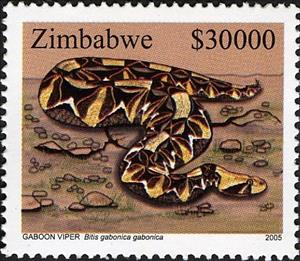 Stamp, Gaboon Viper (Bitis gabonica gabonica), Zimbabwe,  , Reptiles, Snakes, Animals (Fauna)