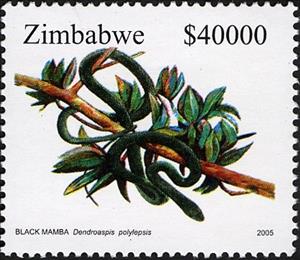 Stamp, Black Mamba (Dendroaspis polylepis), Zimbabwe,  , Reptiles, Snakes, Animals (Fauna)