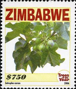 Stamp, Trees of the Year - Jatropha carcus, Zimbabwe,  , Trees