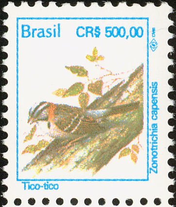 Rufous-collared Sparrow (Zonotrichia capensis) 