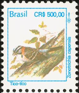 Stamp, Rufous-collared Sparrow (Zonotrichia capensis) , Brazil,  , Birds, Animals (Fauna)