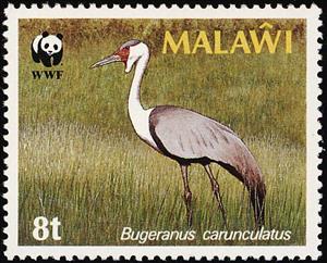Stamp, Wattled Crane (Grus carunculata), Malawi,  , Birds, Animals (Fauna), Cranes (Birds)
