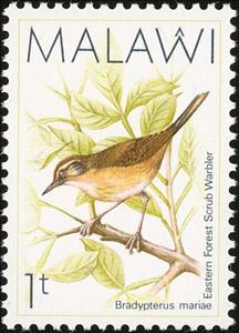 Stamp, Cameroon Scrub-Warbler (Bradypterus lopezi), Malawi,  , Birds
