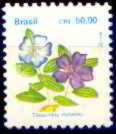 Brazilian Flora. Manacá (Tibouchina mutabilis)