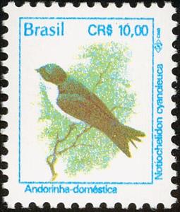 Stamp, Blue-and-white Swallow (Notiochelidon cyanoleuca) , Brazil,  , Birds, Animals (Fauna)