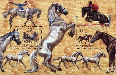 Horses (Equus ferus caballus)