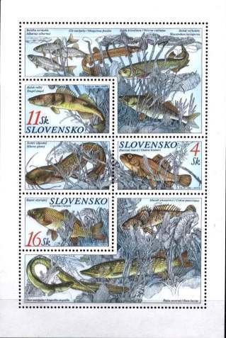 Freshwater Fish - MiNo. 317-19