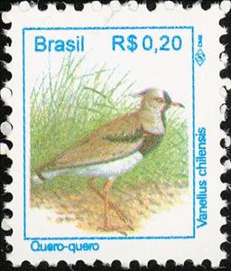 Stamp, Southern Lapwing (Vanellus chilensis), Brazil,  , Birds, Animals (Fauna)
