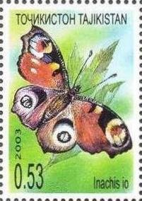 Peacock Butterfly (Inachis io)