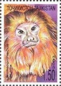 Stamp, Golden Lion Tamarin (Leontopithecus rosalia), Tajikistan,  , Monkeys, Animals (Fauna)