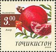 Pomegranate