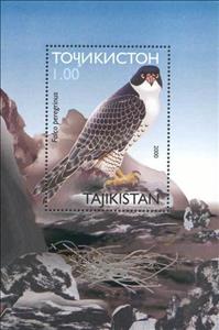 Souvenir Sheet, Peregrine Falcon (Falco peregrinus), Tajikistan,  , Birds, Birds of Prey, Animals (Fauna), Falcons