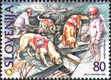 5th IRO World Championship for Rescue Dogs 