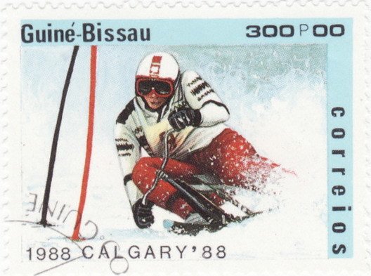 Skibike