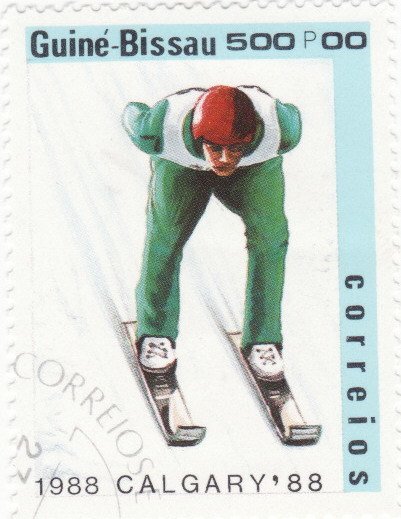 Ski jumping