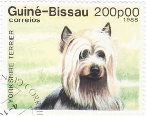 Stamp, Yorkshire-Terrier (Canis lupus familiaris), Guinea-Bissau,  , Mammals, Dogs, Animals (Fauna)