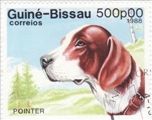 Stamp, English Pointer (Canis lupus familiaris), Guinea-Bissau,  , Mammals, Dogs, Animals (Fauna)