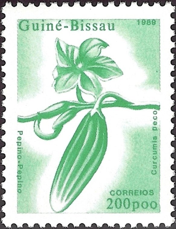 Cucumber
