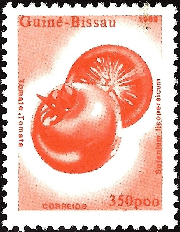 Tomato