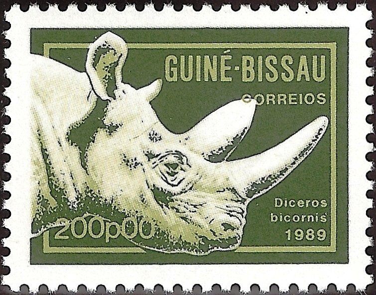 Black Rhinoceros (Diceros bicornis)
