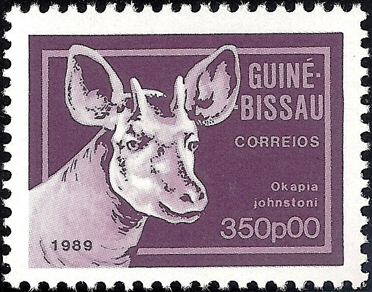 Okapi (Okapia johnstoni)