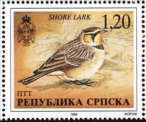 Stamp, Horned Lark (Eremophila alpestris), Bosnia and Herzegovina, Serbian Administration,  , Birds, Animals (Fauna)