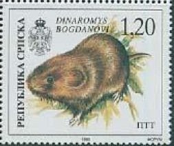 Stamp, Balkan Snow Vole (Dinaromys bogdanovi), Bosnia and Herzegovina, Serbian Administration,  