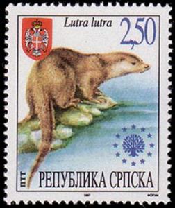 Stamp, Eurasian Otter (Lutra lutra), Bosnia and Herzegovina, Serbian Administration,  , Otters