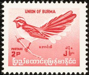 Stamp, White-browed Fantail (Rhipidura aureola), Myanmar,  , Birds