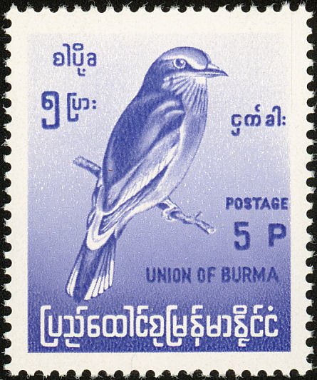 Indian Roller (Coracias benghalensis)