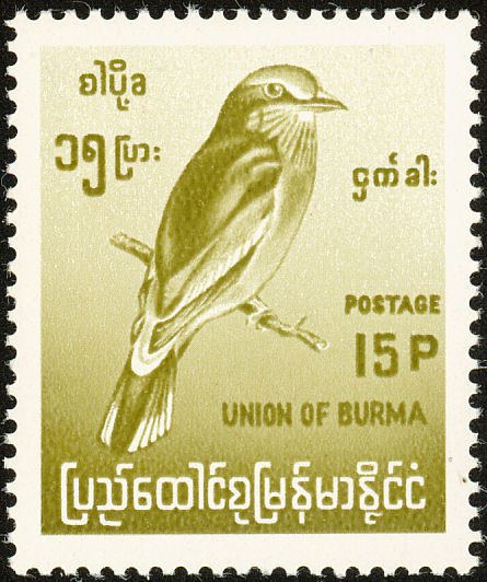 Indian Roller (Coracias benghalensis)