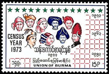 Census Year