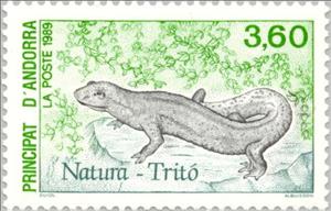 Stamp, Pyrenean Brook Salamander (Euproctus asper), Andorra, French Administration,  , Reptiles, Animals (Fauna)